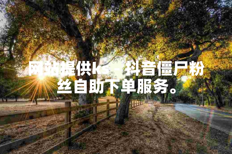 网站提供ks - 抖音僵尸粉丝自助下单服务。