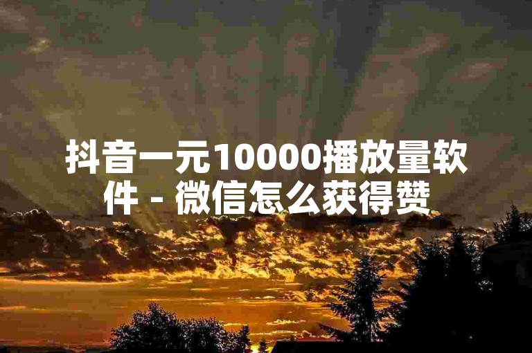 抖音一元10000播放量软件 - 微信怎么获得赞