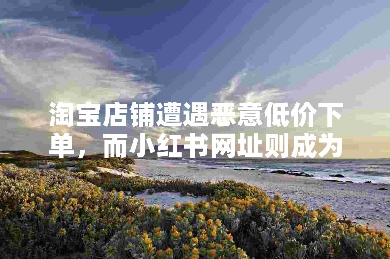 淘宝店铺遭遇恶意低价下单，而小红书网址则成为点赞粉丝下单的热门平台。