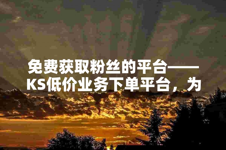 免费获取粉丝的平台——KS低价业务下单平台，为您提供便捷的粉丝增长服务。