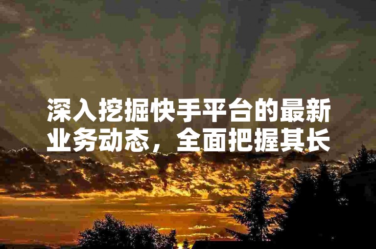 深入挖掘快手平台的最新业务动态，全面把握其长远发展蓝图。