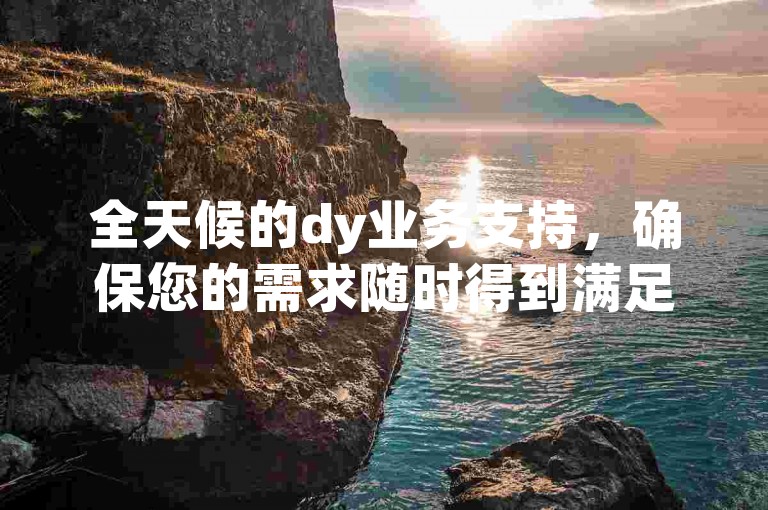全天候的dy业务支持，确保您的需求随时得到满足。