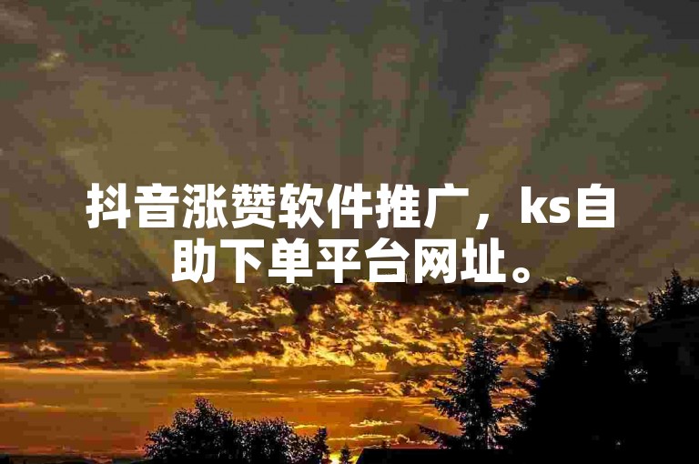 抖音涨赞软件推广，ks自助下单平台网址。