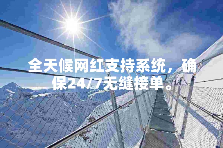 全天候网红支持系统，确保24/7无缝接单。
