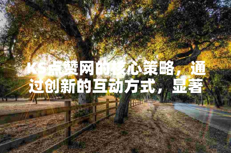 KS点赞网的核心策略，通过创新的互动方式，显著提升用户参与度和网站活跃度！新手入门指南。
