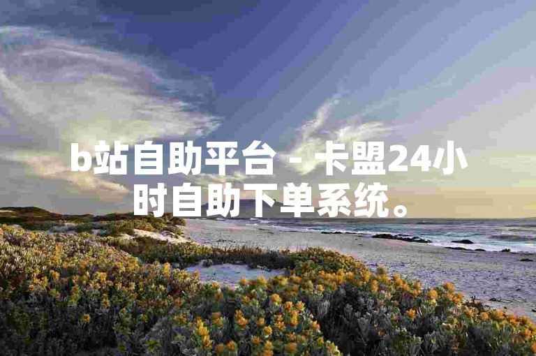 b站自助平台 - 卡盟24小时自助下单系统。