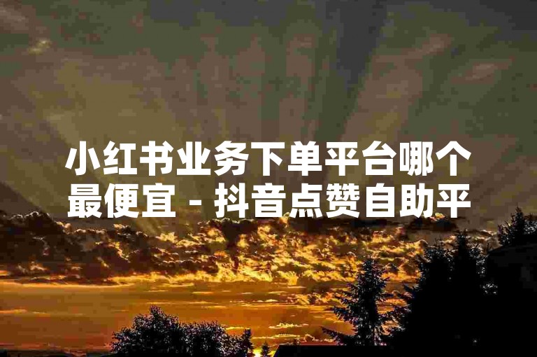 小红书业务下单平台哪个最便宜 - 抖音点赞自助平台下单网站抖音