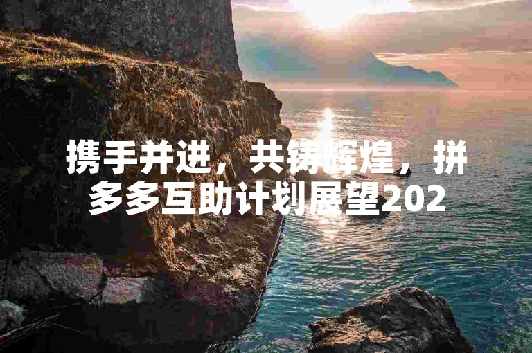 携手并进，共铸辉煌，拼多多互助计划展望2025年。