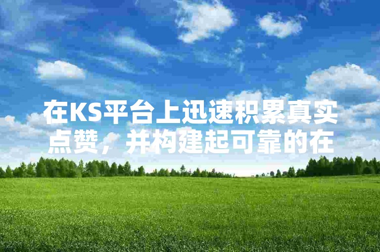 在KS平台上迅速积累真实点赞，并构建起可靠的在线声誉。