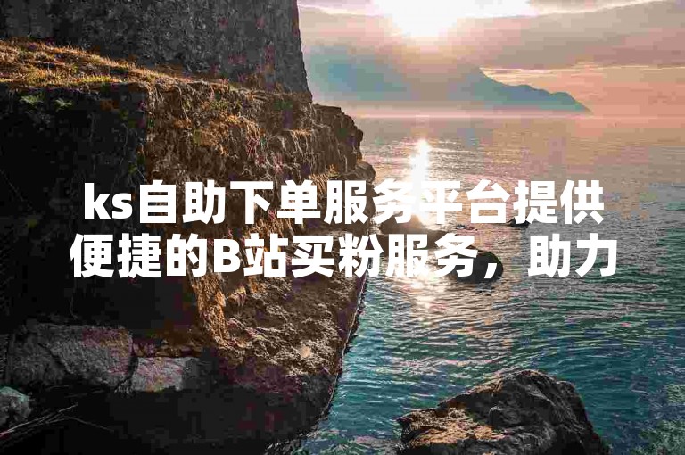 ks自助下单服务平台提供便捷的B站买粉服务，助力您的账号快速增粉。