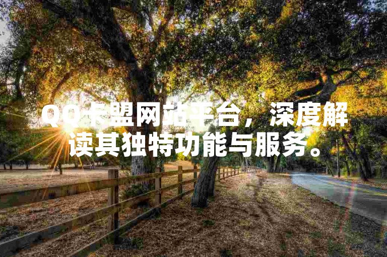 QQ卡盟网站平台，深度解读其独特功能与服务。