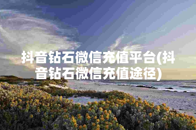 抖音钻石微信充值平台(抖音钻石微信充值途径)