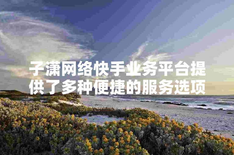 子潇网络快手业务平台提供了多种便捷的服务选项，以满足不同用户的需求。