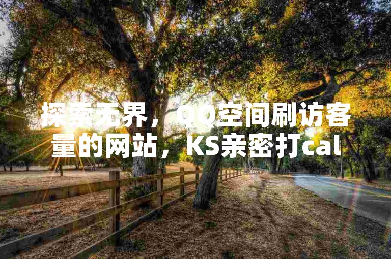 探索无界，QQ空间刷访客量的网站，KS亲密打call，一元100个赞，快手。