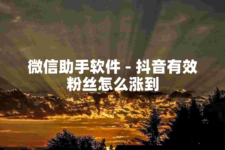 微信助手软件 - 抖音有效粉丝怎么涨到500粉呀赞自助平台24小时服务 哔哩哔哩粉丝下单平台