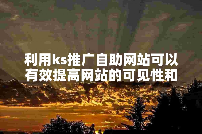 利用ks推广自助网站可以有效提高网站的可见性和用户流量。