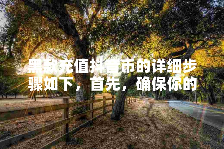 黑款充值抖音币的详细步骤如下，首先，确保你的设备已连接至稳定的网络环境；接着，打开抖音应用并登录你的账号。在个人主页中，找到并点击钱包或抖币充值选项。随后，选择充值抖币，并输入你想要充值的金额。接下来，选择支付方式，这里推荐使用安全可靠的第三方支付平台进行支付。最后，确认支付信息无误后，点击确认充值按钮，等待系统处理完成即可。