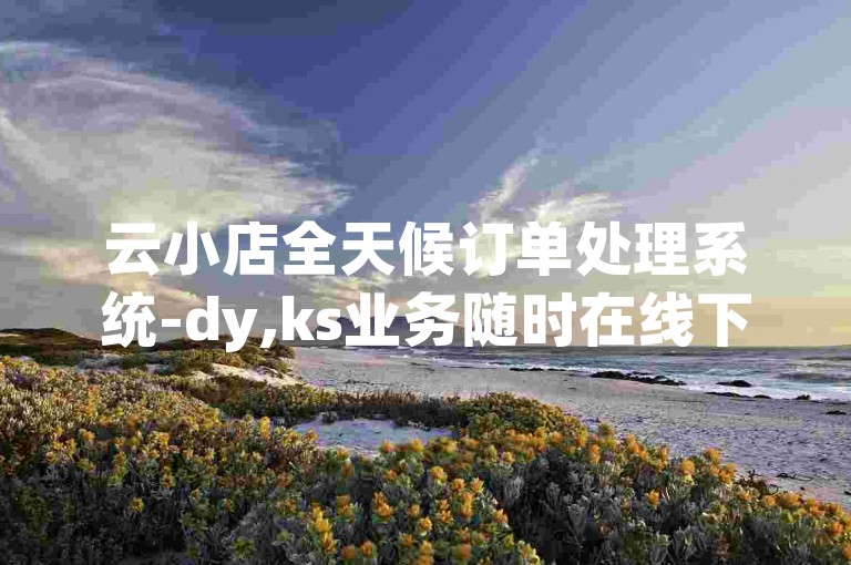 云小店全天候订单处理系统-dy,ks业务随时在线下单平台。
