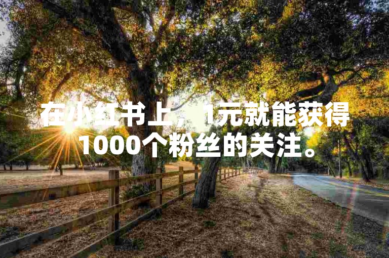 在小红书上，1元就能获得1000个粉丝的关注。