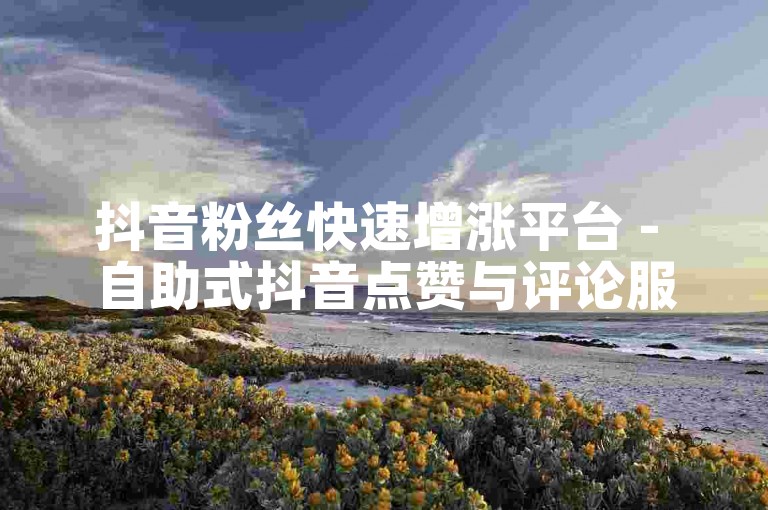 抖音粉丝快速增涨平台 - 自助式抖音点赞与评论服务网站。
