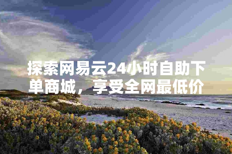 探索网易云24小时自助下单商城，享受全网最低价业务平台的官方优惠 - 只需1元即可获得100个粉丝，这是真的吗？ks软件的推出令人震撼！