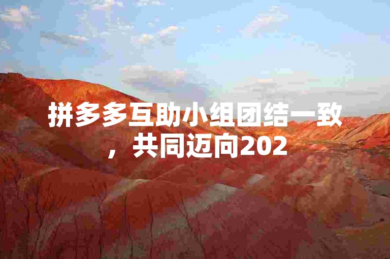 拼多多互助小组团结一致，共同迈向2025年的辉煌成就。