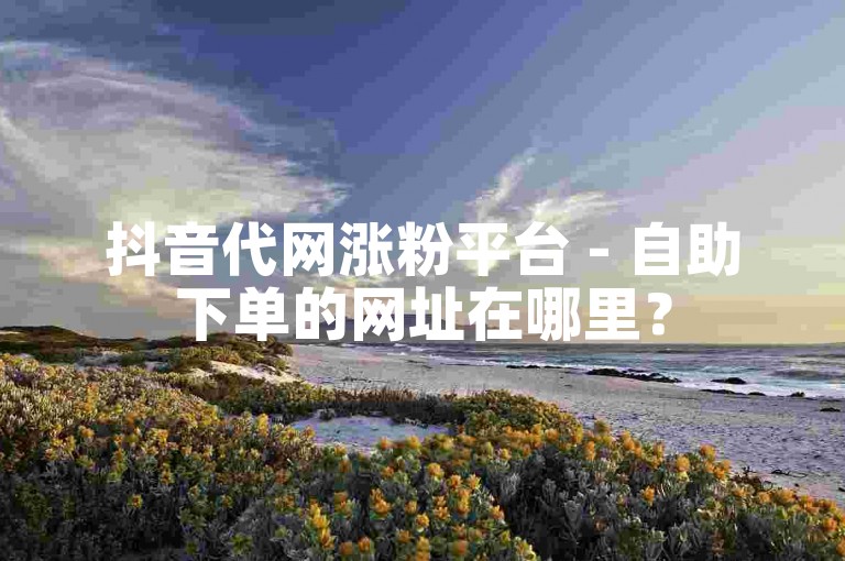 抖音代网涨粉平台 - 自助下单的网址在哪里？