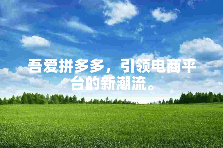 吾爱拼多多，引领电商平台的新潮流。