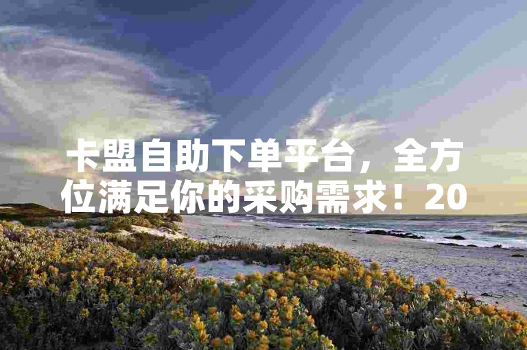 卡盟自助下单平台，全方位满足你的采购需求！2025年必备技能。