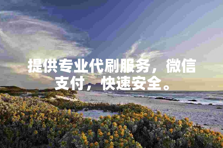 提供专业代刷服务，微信支付，快速安全。