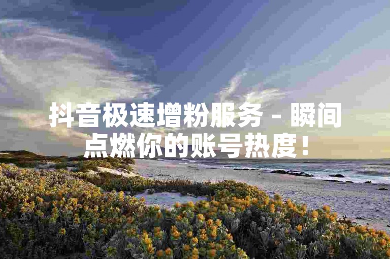 抖音极速增粉服务 - 瞬间点燃你的账号热度！