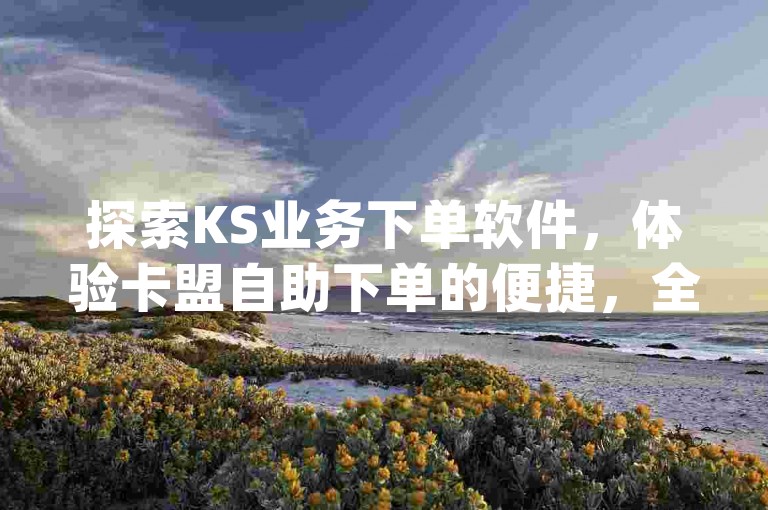探索KS业务下单软件，体验卡盟自助下单的便捷，全天候24小时q币充值服务，确保您的快手播放量飙升，价格之优，令人震撼！