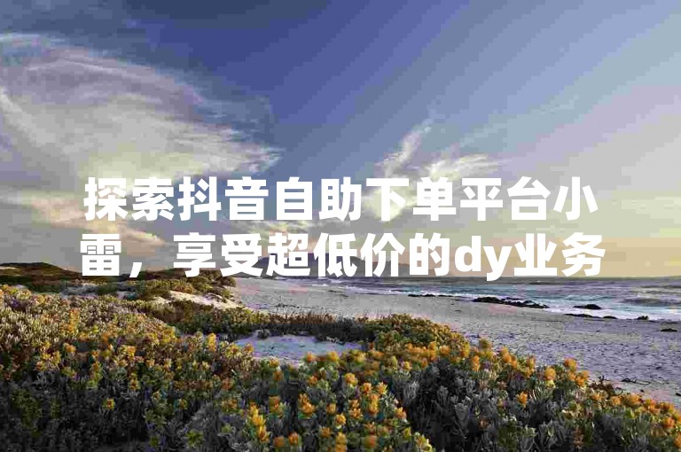探索抖音自助下单平台小雷，享受超低价的dy业务自助下单服务。