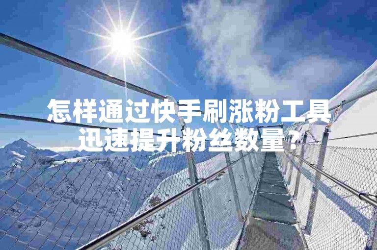 怎样通过快手刷涨粉工具迅速提升粉丝数量？