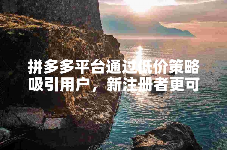 拼多多平台通过低价策略吸引用户，新注册者更可享受免费赠品的优惠，开启了一种全新的购物模式。