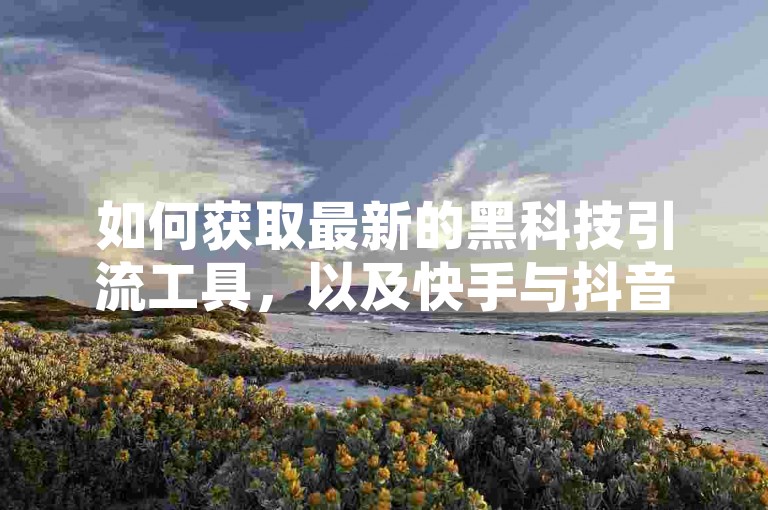如何获取最新的黑科技引流工具，以及快手与抖音之间的竞争加剧 - 寻找性价比高的24小时快手服务 - 意外在B站点赞了他人的评论。