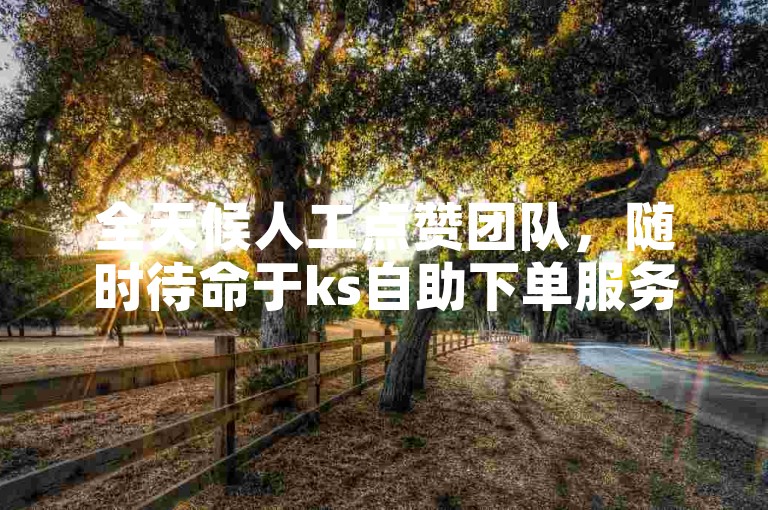 全天候人工点赞团队，随时待命于ks自助下单服务平台。