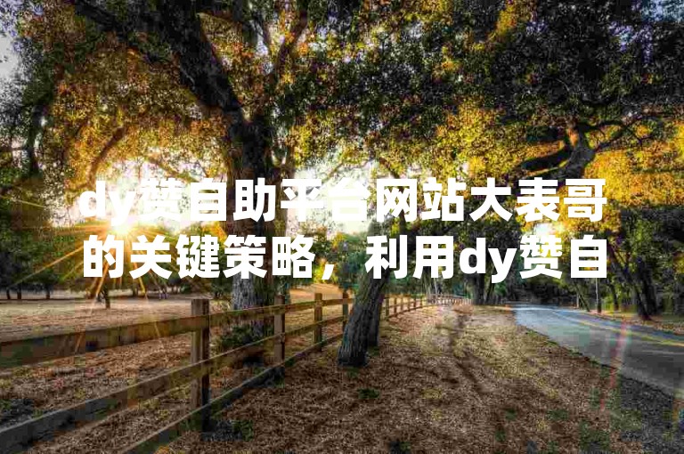 dy赞自助平台网站大表哥的关键策略，利用dy赞自助平台大表哥，快速增强您的网络影响力！创业者首选！