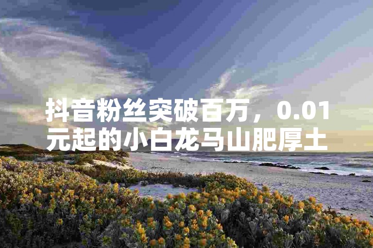 抖音粉丝突破百万，0.01元起的小白龙马山肥厚土地房产装修服务网站 - dd营销平台。