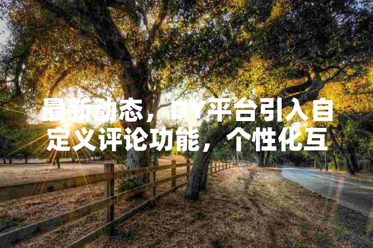 最新动态，DY平台引入自定义评论功能，个性化互动体验再升级。