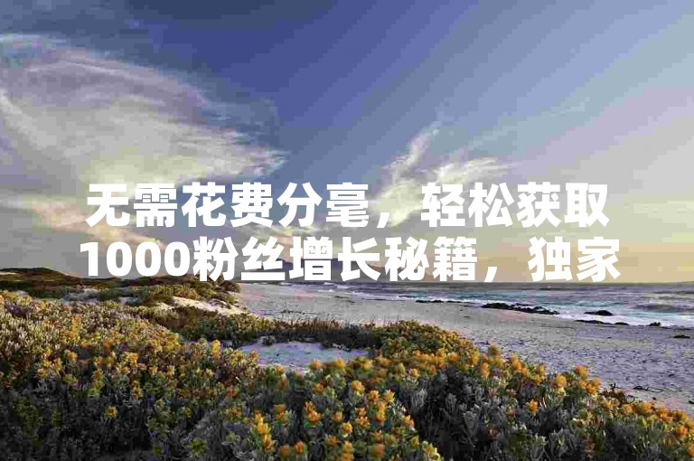 无需花费分毫，轻松获取1000粉丝增长秘籍，独家网站下载，免费教程大放送！2025年必备技能。