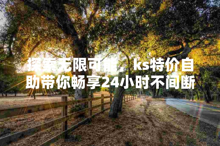 探索无限可能，ks特价自助带你畅享24小时不间断的自助服务新体验。