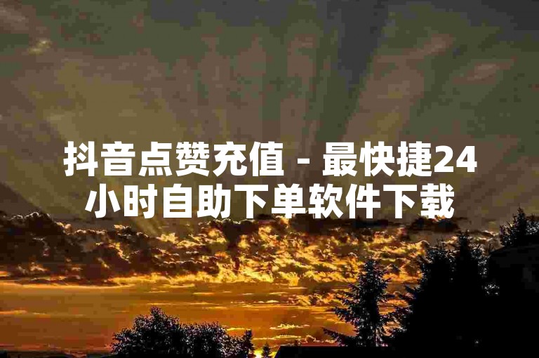 抖音点赞充值 - 最快捷24小时自助下单软件下载
