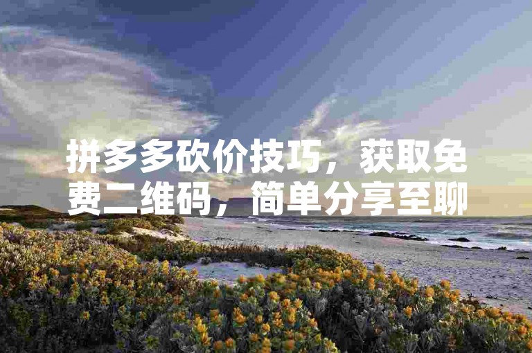 拼多多砍价技巧，获取免费二维码，简单分享至聊天群。
