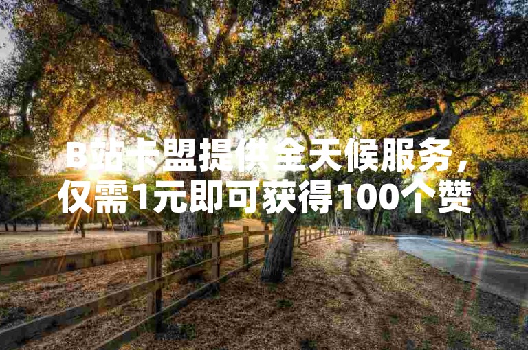 B站卡盟提供全天候服务，仅需1元即可获得100个赞，同时还有拼多多自助砍价和QQ浏览量统计功能。