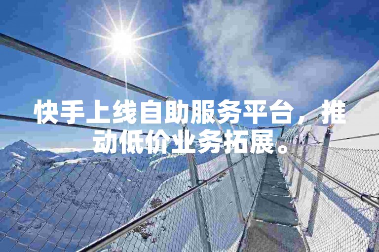 快手上线自助服务平台，推动低价业务拓展。