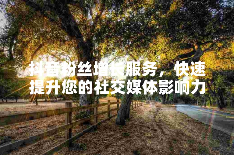 抖音粉丝增长服务，快速提升您的社交媒体影响力 - 自助下单平台特惠中