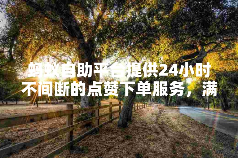 蚂蚁自助平台提供24小时不间断的点赞下单服务，满足您的业务需求。
