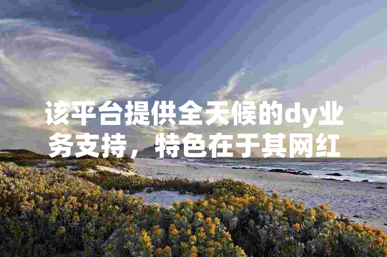 该平台提供全天候的dy业务支持，特色在于其网红助手app的亮点功能，包括ks自助小店和快手打call自助服务。