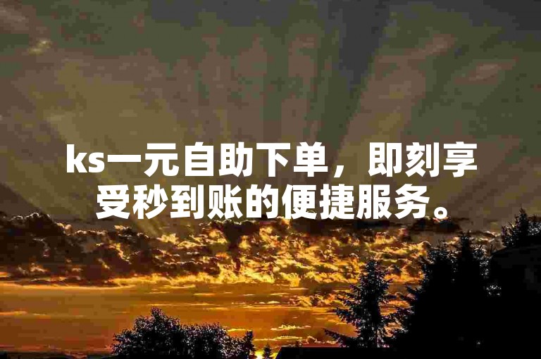 ks一元自助下单，即刻享受秒到账的便捷服务。